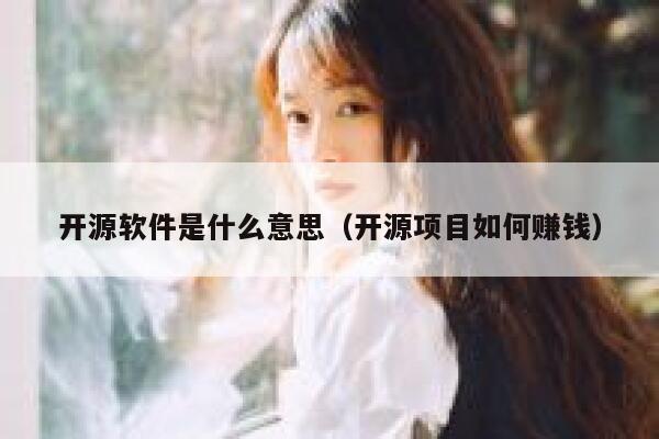 开源软件是什么意思(开源项目如何赚钱) 第1张 开源软件是什么意思(开源项目如何赚钱) 第1张