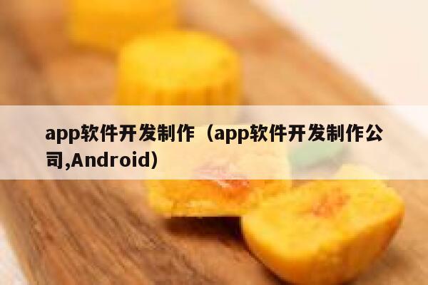 app软件开发制作(app软件开发制作公司,Android) 第1张 app软件开发制作(app软件开发制作公司,Android) 第1张