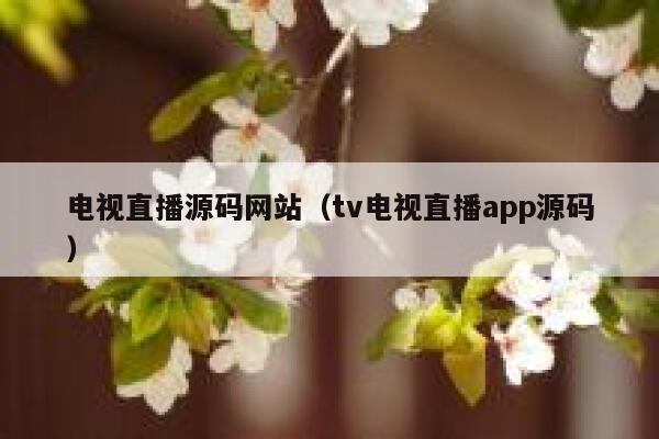 电视直播源码网站(tv电视直播app源码) 第1张 电视直播源码网站(tv电视直播app源码) 第1张