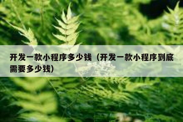 开发一款小程序多少钱(开发一款小程序到底需要多少钱) 第1张 开发一款小程序多少钱(开发一款小程序到底需要多少钱) 第1张