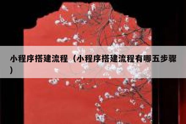 小程序搭建流程（小程序搭建流程有哪五步骤） 第1张