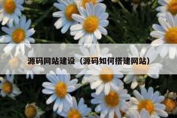 源码网站建设(源码如何搭建网站) 第1张 源码网站建设(源码如何搭建网站) 第1张