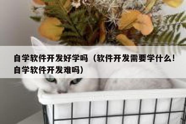 自学软件开发好学吗(软件开发需要学什么!自学软件开发难吗) 第1张 自学软件开发好学吗(软件开发需要学什么!自学软件开发难吗) 第1张
