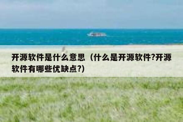 开源软件是什么意思(什么是开源软件?开源软件有哪些优缺点?) 第1张 开源软件是什么意思(什么是开源软件?开源软件有哪些优缺点?) 第1张