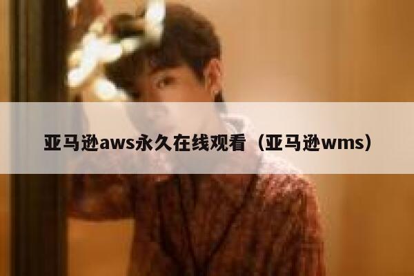亚马逊aws永久在线观看(亚马逊wms) 第1张 亚马逊aws永久在线观看(亚马逊wms) 第1张