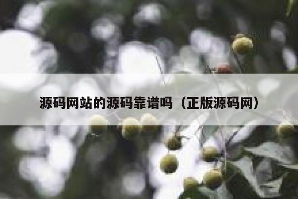 源码网站的源码靠谱吗(正版源码网) 第1张 源码网站的源码靠谱吗(正版源码网) 第1张