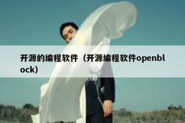 开源的编程软件（开源编程软件openblock） 第1张
