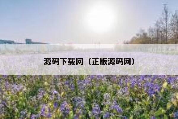 源码下载网(正版源码网) 第1张 源码下载网(正版源码网) 第1张