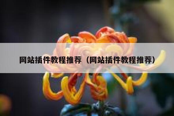 网站插件教程推荐(网站插件教程推荐) 第1张 网站插件教程推荐(网站插件教程推荐) 第1张