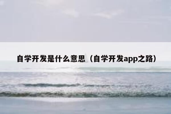 自学开发是什么意思(自学开发app之路) 第1张 自学开发是什么意思(自学开发app之路) 第1张
