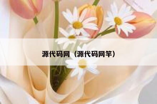 源代码网(源代码网竿) 第1张 源代码网(源代码网竿) 第1张