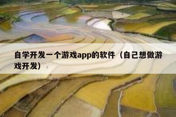 自学开发一个游戏app的软件(自己想做游戏开发) 第1张 自学开发一个游戏app的软件(自己想做游戏开发) 第1张