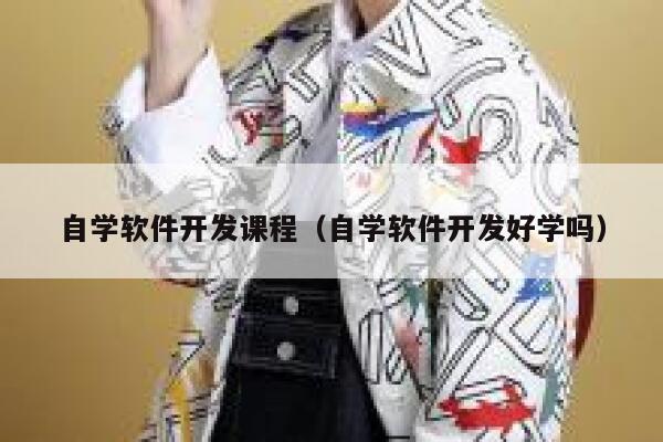 自学软件开发课程（自学软件开发好学吗） 第1张