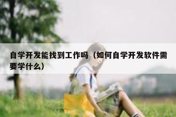 自学开发能找到工作吗(如何自学开发软件需要学什么) 第1张 自学开发能找到工作吗(如何自学开发软件需要学什么) 第1张