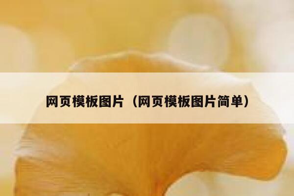 网页模板图片(网页模板图片简单) 第1张 网页模板图片(网页模板图片简单) 第1张