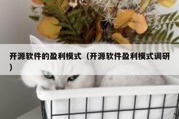 开源软件的盈利模式(开源软件盈利模式调研) 第1张 开源软件的盈利模式(开源软件盈利模式调研) 第1张