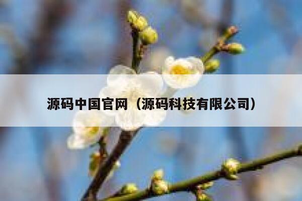 源码中国官网(源码科技有限公司) 第1张 源码中国官网(源码科技有限公司) 第1张