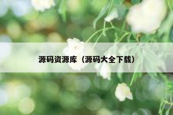 源码资源库（源码大全下载） 第1张
