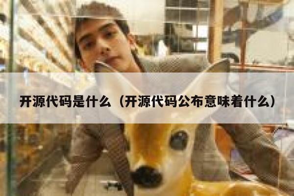 开源代码是什么(开源代码公布意味着什么) 第1张 开源代码是什么(开源代码公布意味着什么) 第1张