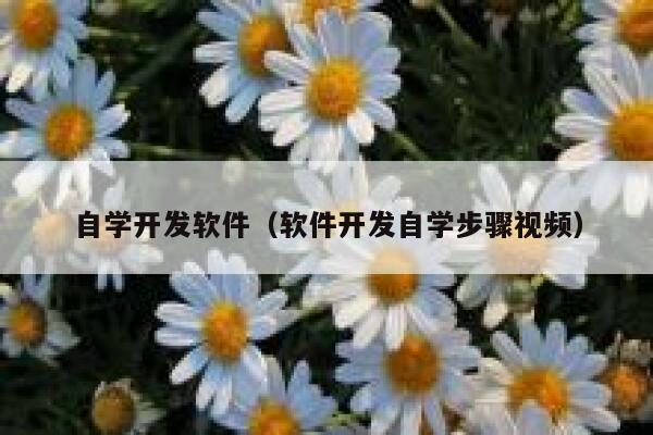 自学开发软件(软件开发自学步骤视频) 第1张 自学开发软件(软件开发自学步骤视频) 第1张