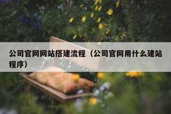 公司官网网站搭建流程(公司官网用什么建站程序) 第1张 公司官网网站搭建流程(公司官网用什么建站程序) 第1张