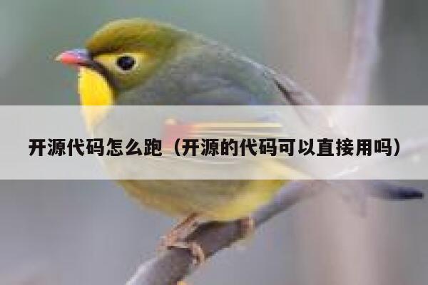 开源代码怎么跑（开源的代码可以直接用吗） 第1张