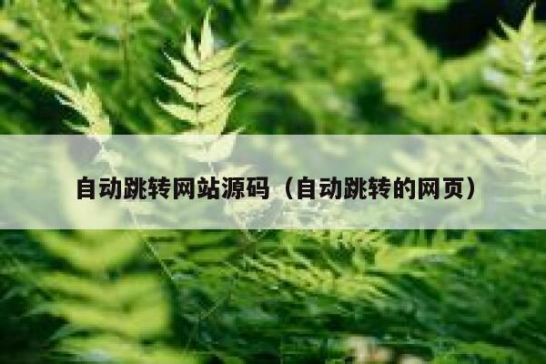 自动跳转网站源码（自动跳转的网页） 第1张