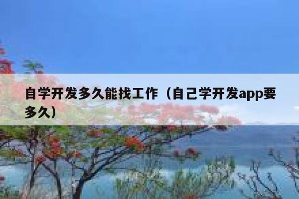 自学开发多久能找工作(自己学开发app要多久) 第1张 自学开发多久能找工作(自己学开发app要多久) 第1张