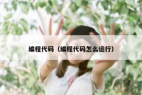 编程代码(编程代码怎么运行) 第1张 编程代码(编程代码怎么运行) 第1张
