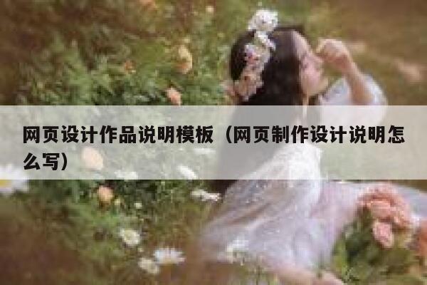 网页设计作品说明模板（网页制作设计说明怎么写） 第1张