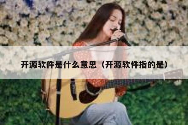 开源软件是什么意思（开源软件指的是） 第1张