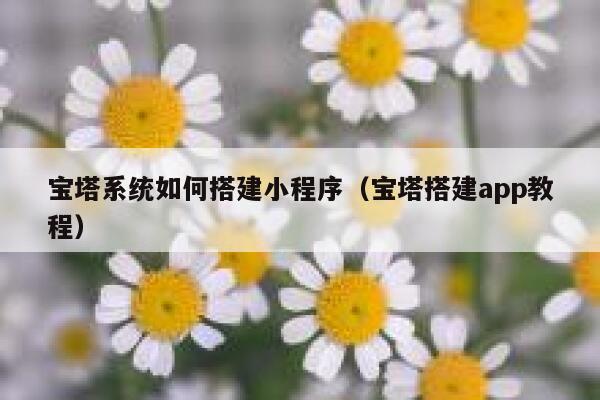 宝塔系统如何搭建小程序(宝塔搭建app教程) 第1张 宝塔系统如何搭建小程序(宝塔搭建app教程) 第1张