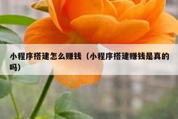小程序搭建怎么赚钱（小程序搭建赚钱是真的吗） 第1张