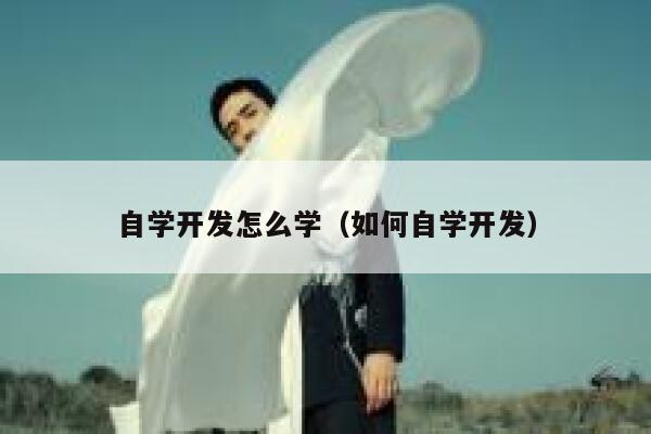 自学开发怎么学（如何自学开发） 第1张