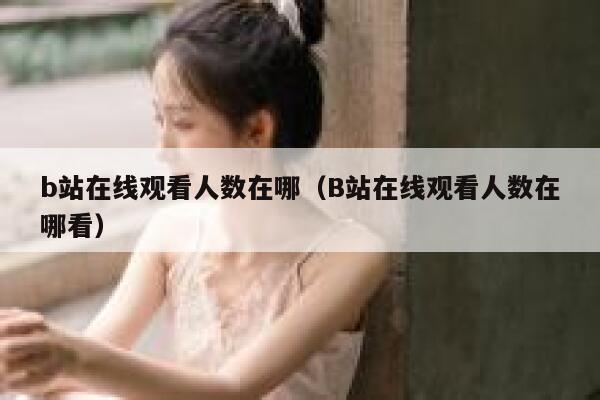 b站在线观看人数在哪（B站在线观看人数在哪看） 第1张