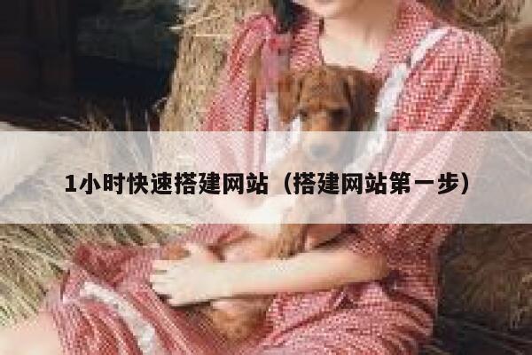 1小时快速搭建网站(搭建网站第一步) 第1张 1小时快速搭建网站(搭建网站第一步) 第1张