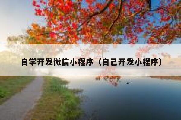 自学开发微信小程序(自己开发小程序) 第1张 自学开发微信小程序(自己开发小程序) 第1张