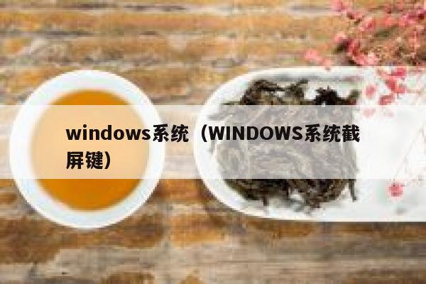 windows系统（WINDOWS系统截屏键） 第1张