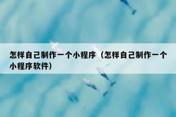 怎样自己制作一个小程序（怎样自己制作一个小程序软件） 第1张