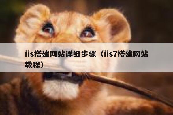 iis搭建网站详细步骤(iis7搭建网站教程) 第1张 iis搭建网站详细步骤(iis7搭建网站教程) 第1张