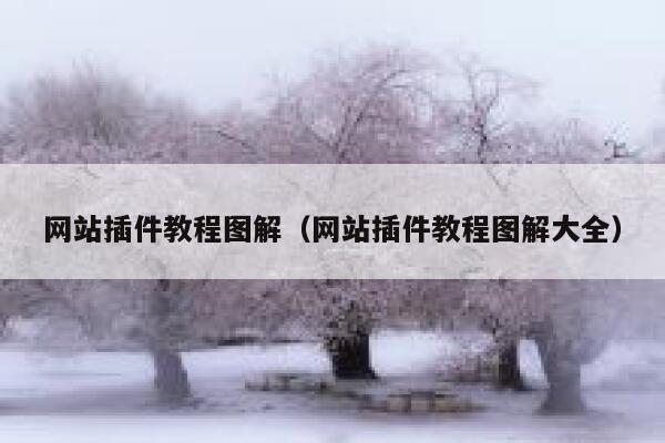 网站插件教程图解（网站插件教程图解大全） 第1张
