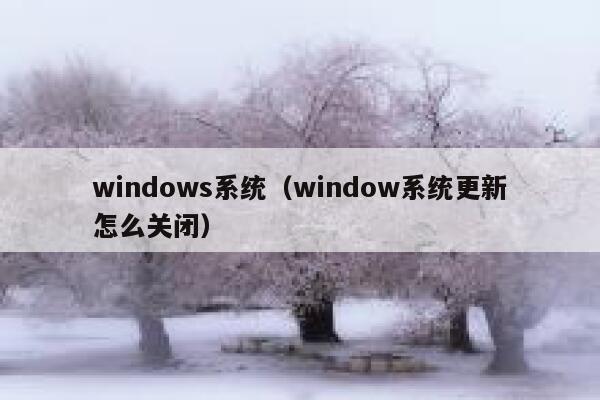 windows系统(window系统更新怎么关闭) 第1张 windows系统(window系统更新怎么关闭) 第1张
