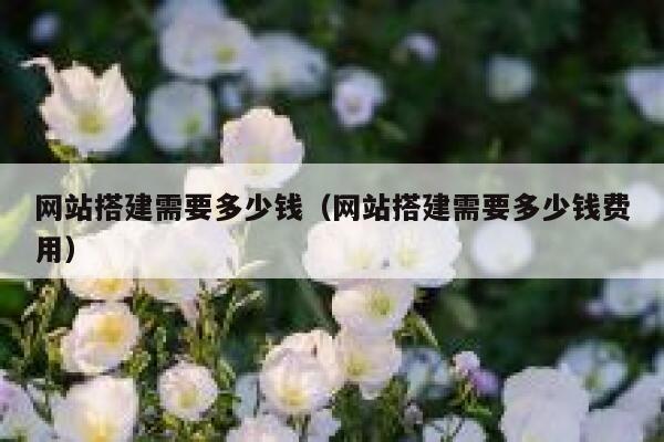 网站搭建需要多少钱(网站搭建需要多少钱费用) 第1张 网站搭建需要多少钱(网站搭建需要多少钱费用) 第1张