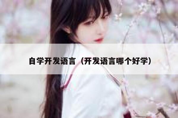 自学开发语言(开发语言哪个好学) 第1张 自学开发语言(开发语言哪个好学) 第1张