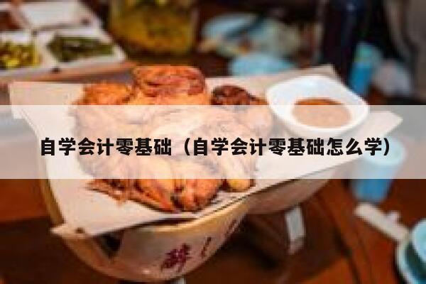 自学会计零基础(自学会计零基础怎么学) 第1张 自学会计零基础(自学会计零基础怎么学) 第1张