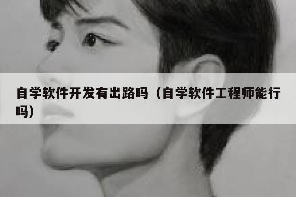 自学软件开发有出路吗（自学软件工程师能行吗） 第1张
