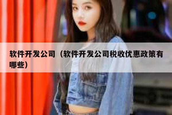 软件开发公司(软件开发公司税收优惠政策有哪些) 第1张 软件开发公司(软件开发公司税收优惠政策有哪些) 第1张
