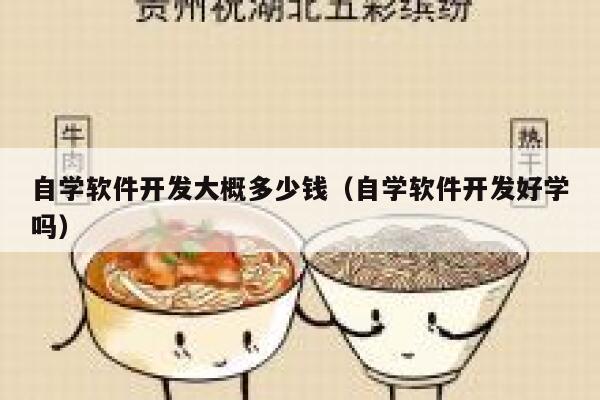 自学软件开发大概多少钱(自学软件开发好学吗) 第1张 自学软件开发大概多少钱(自学软件开发好学吗) 第1张