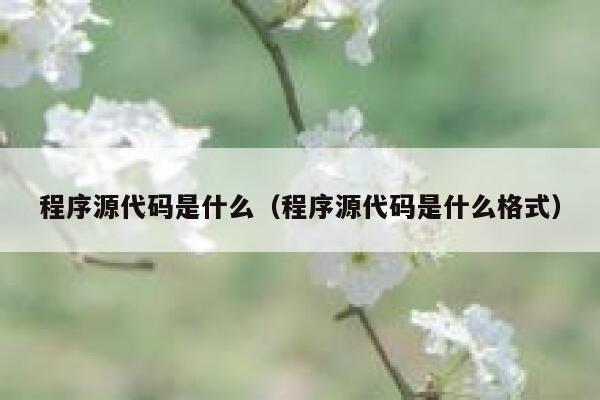 程序源代码是什么(程序源代码是什么格式) 第1张 程序源代码是什么(程序源代码是什么格式) 第1张