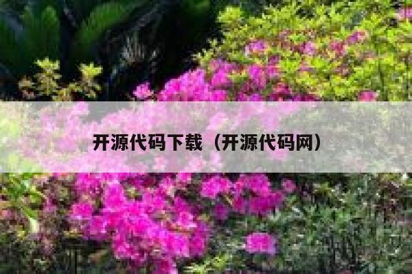 开源代码下载(开源代码网) 第1张 开源代码下载(开源代码网) 第1张